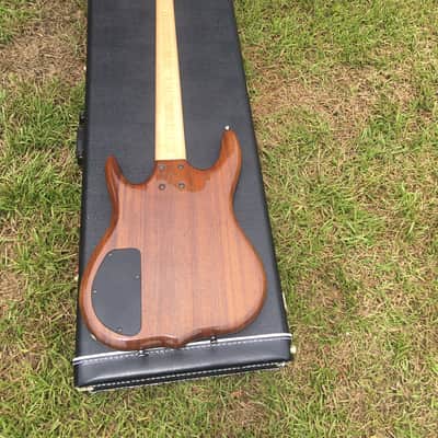 Ken Smith Hadrien Feraud 5 String Bass Guitar image 7