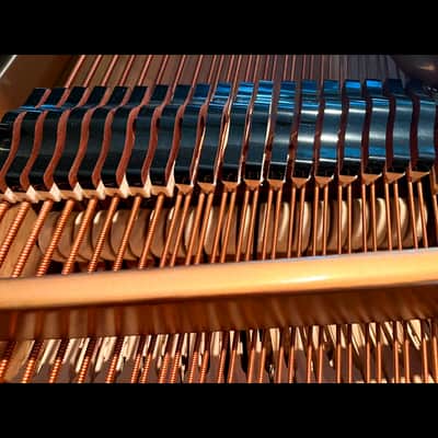 Immagine Majestic Semi-Concert Grand: Mason & Hamlin Model BB - 11