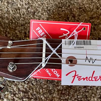 Fender Limited Edition George Harrison Signature Rosewood Telecaster 2017 - Unplayed in Original Box image 11