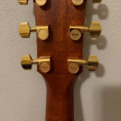 Taylor GS7 2006 - Natural image 19