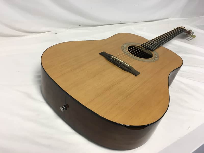 Epiphone Pro-1NA Acoustic Guitar image 1