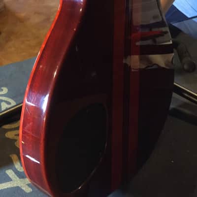 Washburn Custom Shop image 9