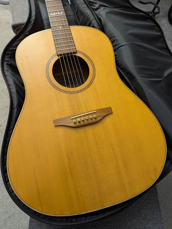 Alvarez 5063 Vintage Acoustic, w/padded gig bag, setup review, & shipping image 1