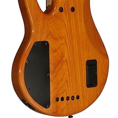 Michael Kelly Pinnacle 5-String Bass Electric Bass Guitar with Natural Burl Finish image 5