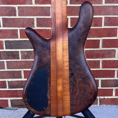 Spector USA NS-5XL, Figured Chestnut Top, Figured Walnut Body, Oil Finish, 3pc Roasted Maple Neck, Ebony Fretboard, Roasted Maple Ghost Crowns, EMG40DCX Pickups, HAZ 9-volt Preamp, Dunlop Flush Mount Strap Locks, Hipshot Tuners, TSA Case image 8