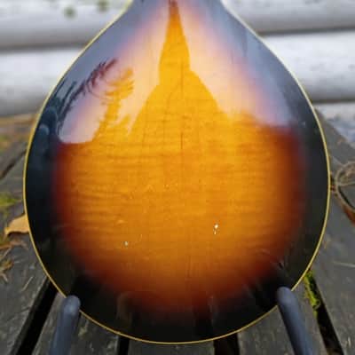 Gibson EM-150 Mandolin 1968 - Sunburst image 8