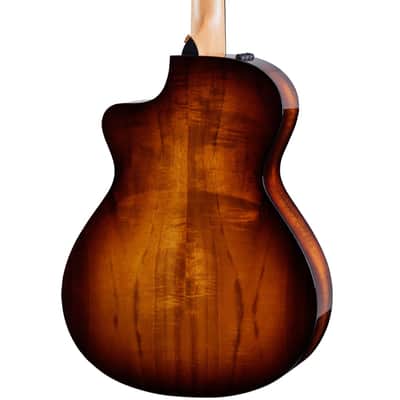 Taylor 222ce-K DLX w/case image 3