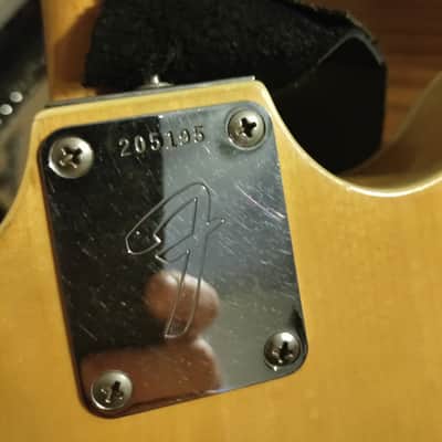 Fender Coronado Bass II 1967 - 1972 image 12