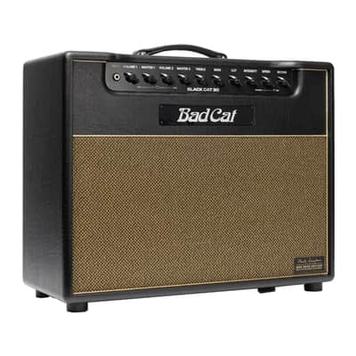 Bad Cat Mark Sampson Modded Black Cat 30-Watt 1x12" Tube Combo Amplifier image 1