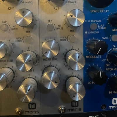Meris Hedra 500 Series 3-Voice Rhythmic Pitch Shifter Module 2020 - Silver image 4