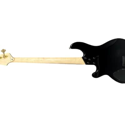 Lakland Skyline 44-02 Custom Spalted Maple w/Rosewood DEMO-FLOOR MODEL *IN STOCK /AS NEW Condition! SAVE $!* image 7
