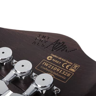 Schecter Aaron Marshall AM-6 Arctic Jade image 15