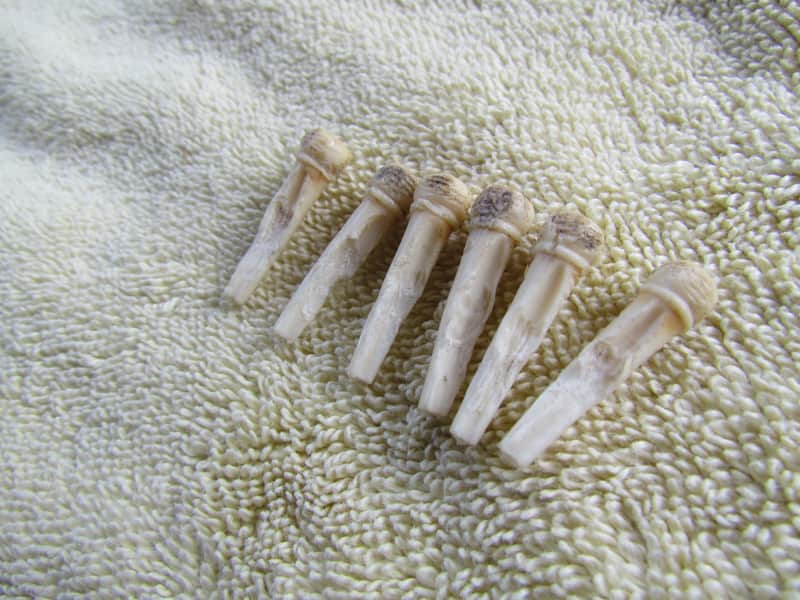 Vintage Bridge Pins Aged Yellowed Set Of 6 Vintage Bridge Pins 1950's? 1960's? Cool Vintage Vibe Bridge Pins image 1