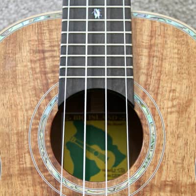 Big Island Ukulele Co Solid Golden Koa Concert Ukulele KX-CTG  W/ Carrying Case image 13
