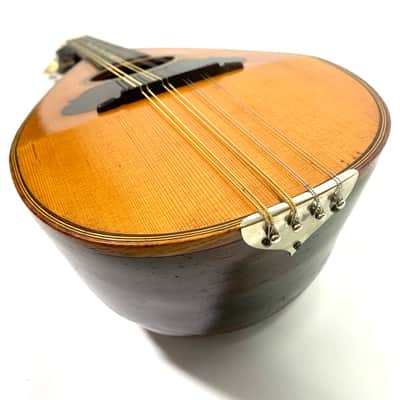 Stridente Student Model Mandolin early 1900's image 12