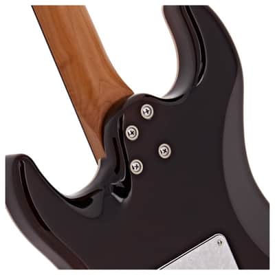 Jet JS-450 QTBR 450 Series Basswood Burl Poplar Top Body Canadian Roasted Maple Neck 6-String Electric Guitar image 6