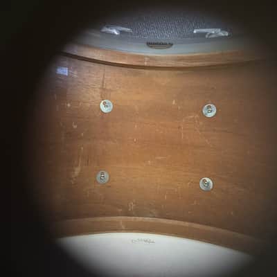 Premier 1970s Mahogany Kit in WMP 14"/16"/20" image 19