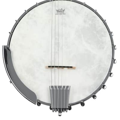 Washburn Americana B6 6-string Open-back Banjo image 1