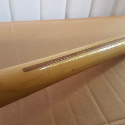 1969 Fender Telecaster Maple Neck USA - Big Profile image 9