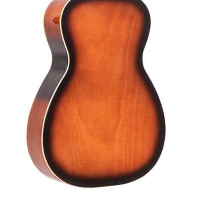 Gold Tone PBS: Paul Beard Signature-Series Squareneck Resonator Guitar with Case image 7