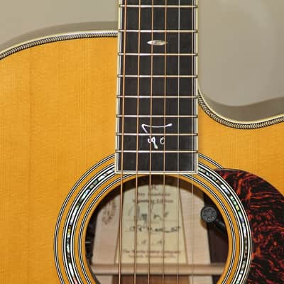Martin DCE Trey Anastasio Signature image 6
