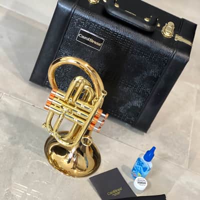 CarolBrass Pocket Flugelhorn / Taylor Phat Puppy 2024 - Polished / Lacquered image 6