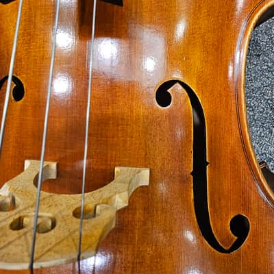 D Z Strad Cello - Model 600 - Cello Outfit w/ Case & Bow (Pre-owned) (4/4) image 3