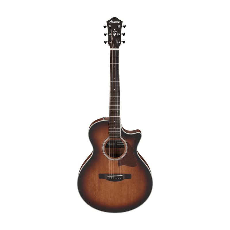 Ibanez AE240JR image 1