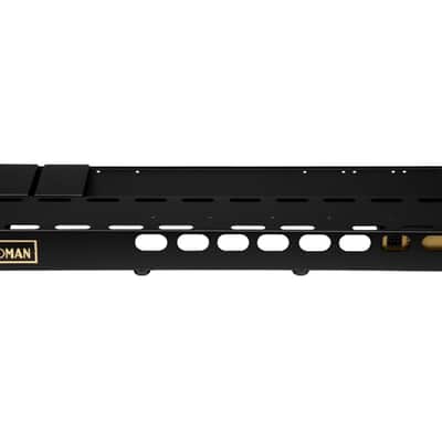 Friedman TOURPRO 1542 Platinum 15x42 Pedalboard w/Power Grid/Buffer Bay Open Box image 4