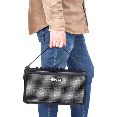 EKO GUITARS BAIO AMP 25 image 5