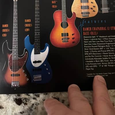 Hamer Catalog 1999 25th anniversary artist studio standard phantom Rick Nielsen slammer image 10