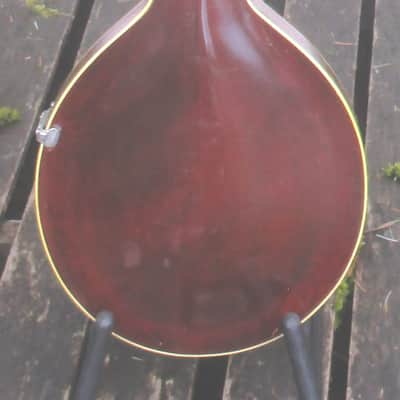 Gibson A-3 Mandolin 1915 image 5