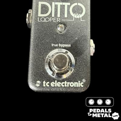TC Electronic Ditto Looper | Reverb