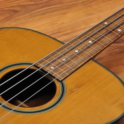 Vester Fretless acoustic bass VB385 image 11