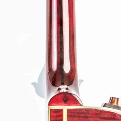 Daion The Year Series '81 Caribou - Wine Red (WR) - Electric Acoustic Six String image 8