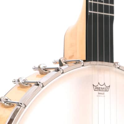 Gold Tone BC-350 Bob Carlin Signature Series Maple with Scoop Neck Openback Banjo w/Hardshell Case image 8