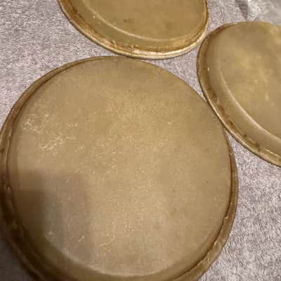 New Tropical Music - Bongo Head Replacement 8” - Natural Skin image 5