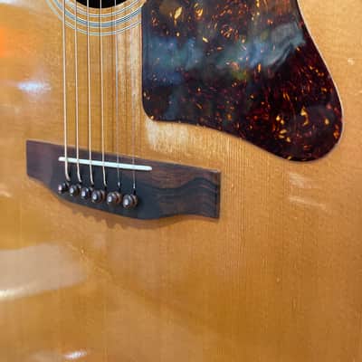 1980 Gibson J-55 Dreadnought Acoustic Guitar, Natural image 6
