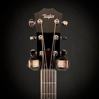 Taylor Custom Grand Pacific - Figured Ironbark image 6