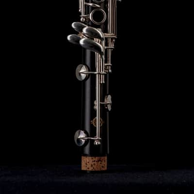 Henri Selmer Paris Series 10 (1973) image 9