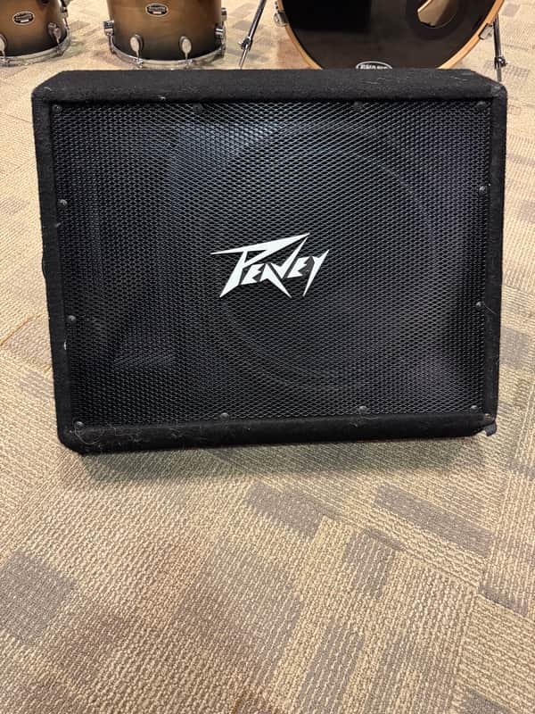 Peavey TI 115 Passive Speaker image 1