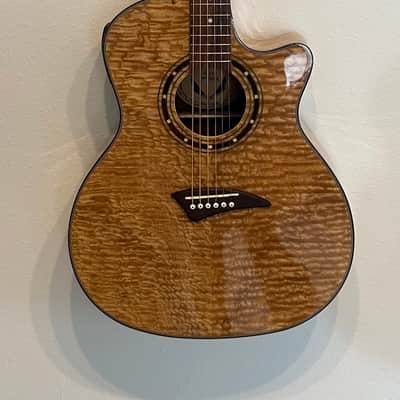 DEAN EXOTICA ANDES (MODEL EANDES) acoustic guitars for sale in USA