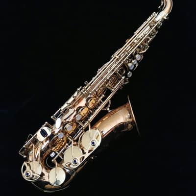 Yanagisawa Alto Saxophone AW020 Bronze Model Bronze image 1