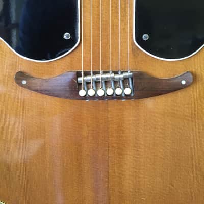 1964 Fender King image 3