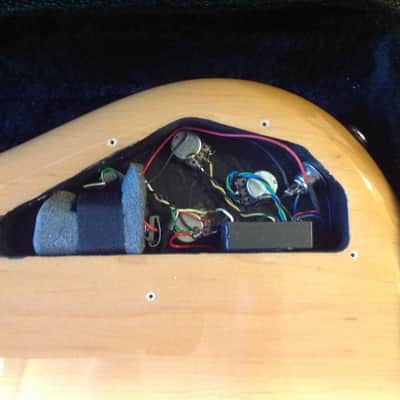 Spector Rebop DLX EX 2008 Zebra wood image 16