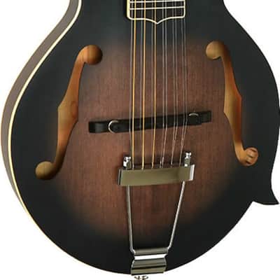 Gold Tone F-12 Long-Scale Manditar A-Style 12-String Acoustic-Electric Mandolin/Guitar, Solid Spruce Top, Tobacco Sunburst Satin image 2