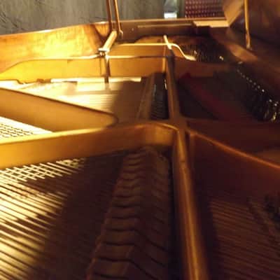 Krakauer Bros Baby grand piano ( Vintage ) image 10