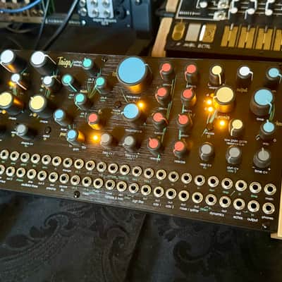 Pittsburgh Modular Taiga Desktop Paraphonic Synthesizer 2023 - Present - Black image 3