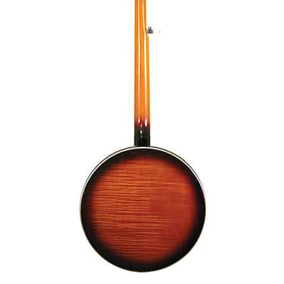 Gold Tone OB-250: Lightweight Orange Blossom Banjo with Case image 4