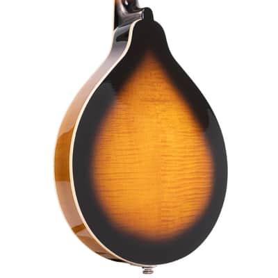 Gold Tone GM-50+ A-Style Solid Spruce Top Maple Neck 8-String Mandolin w/Hard Case & Pickup image 4